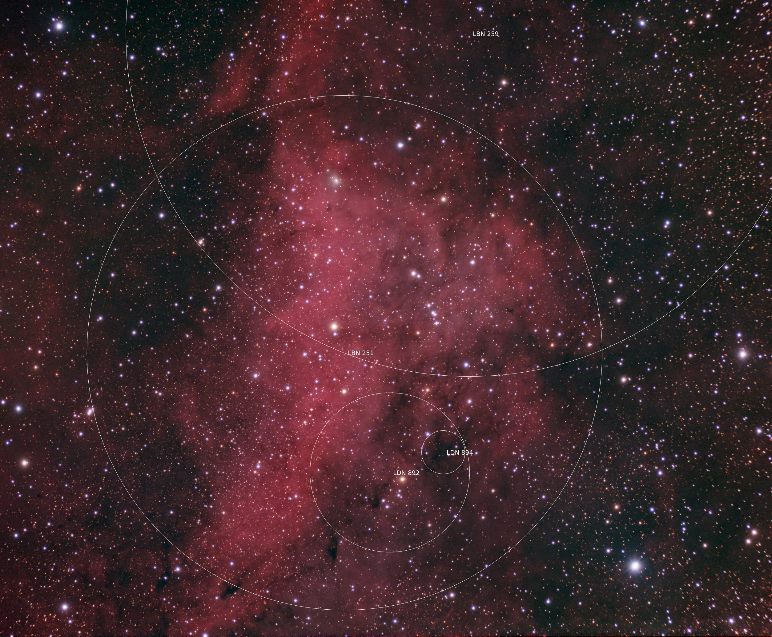 IC1318 Es127 Zwo2600 121224 annotated