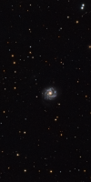 NGC 3631 and Supernova 2016bau