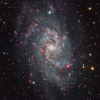 M33