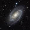 M81